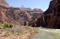 Grand Canyon April 2011_0389